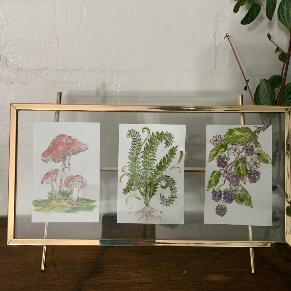 Original Gold Framed Botanical Art Trio